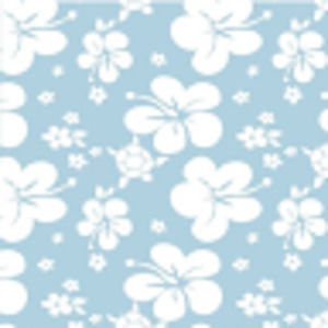 Meet your Posher, Eva